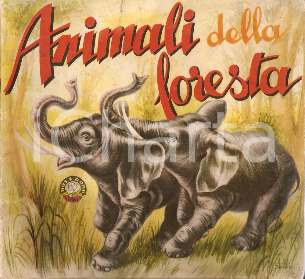 1950 ca ANIMALI DELLA FORESTA Illustrato DANNEGGIATO *Ed. Gino CONTE