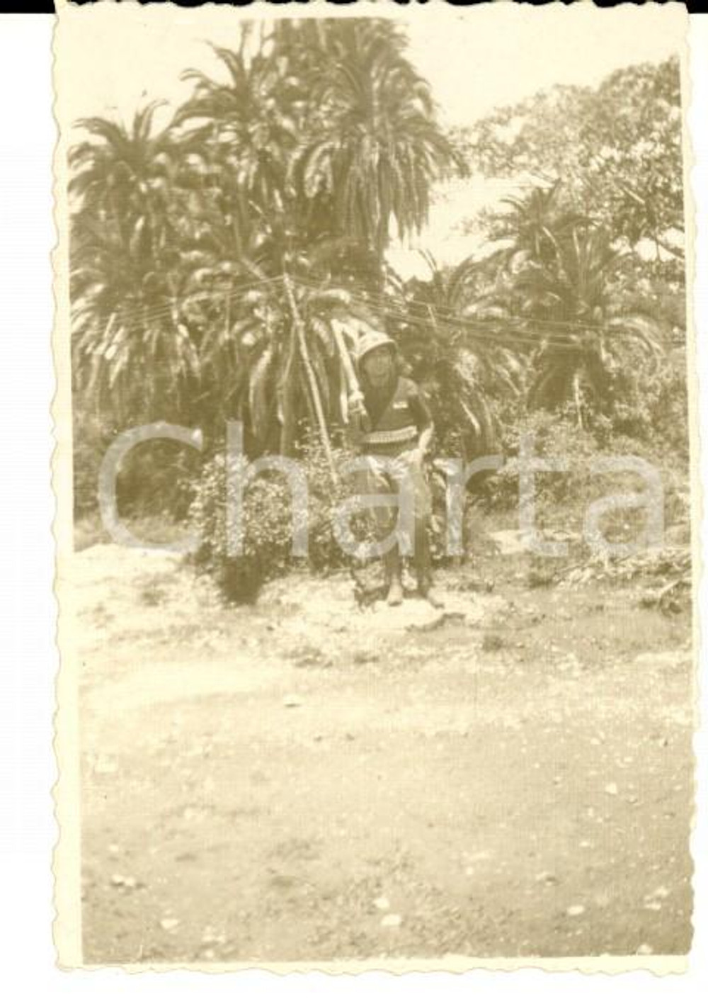 Fotografia d epoca originale 1940 ca AOI SELACLACLA  ERITREA  Militare in posa con le munizioni Foto 8x6 1