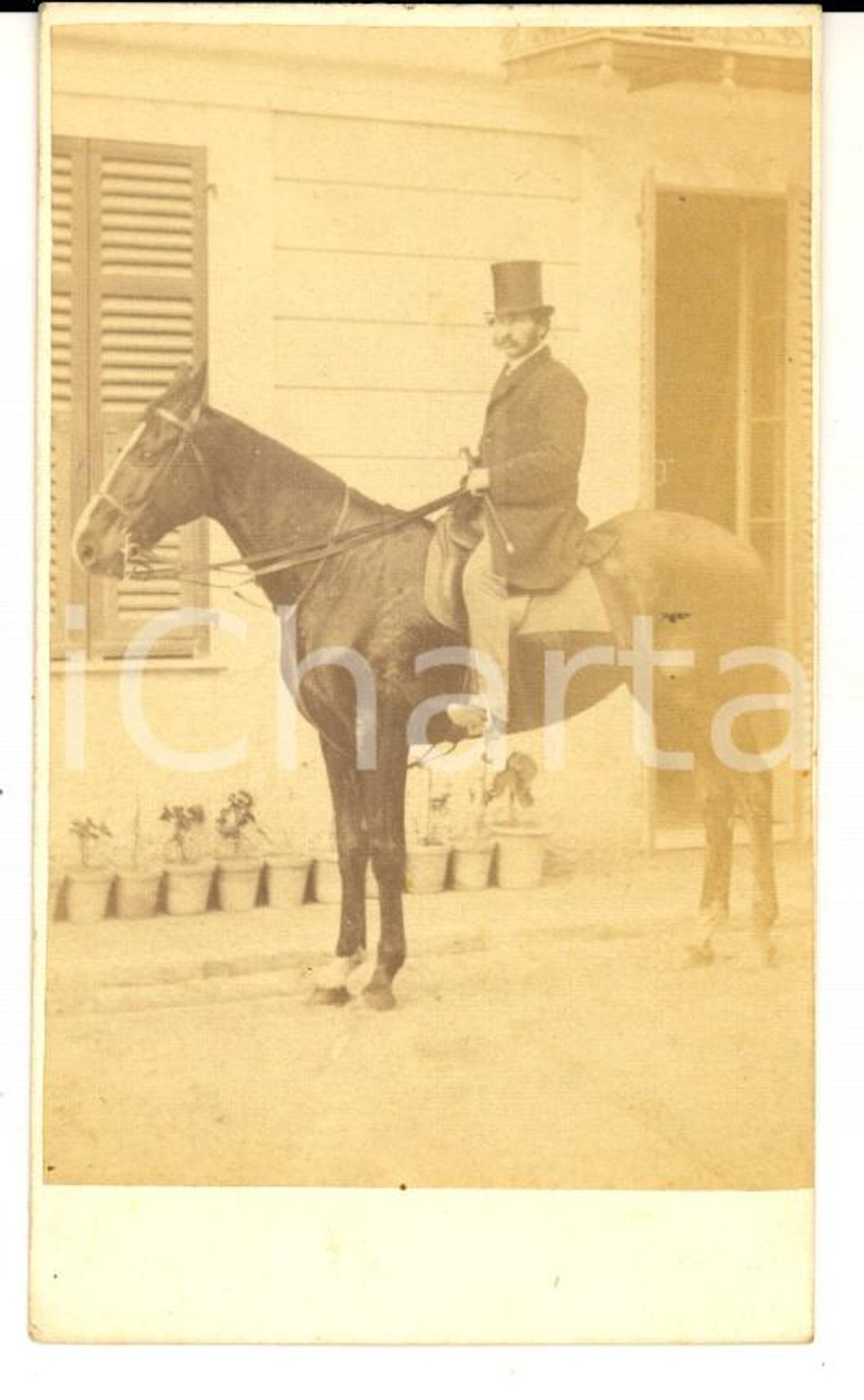 1880 ca AREA LOMBARDA Gentiluomo a cavallo tra i vasi di fiori *Foto VINTAGE