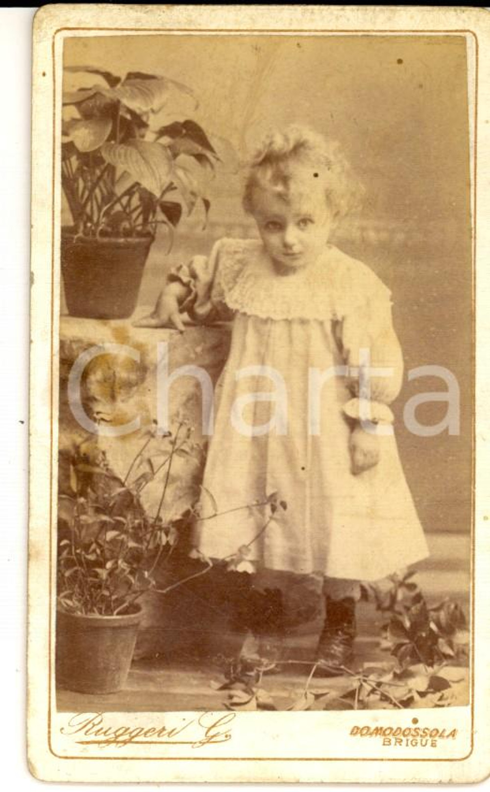 1890 ca DOMODOSSOLA Ritratto di bambina tra i vasi di fiori *Foto RUGGERI