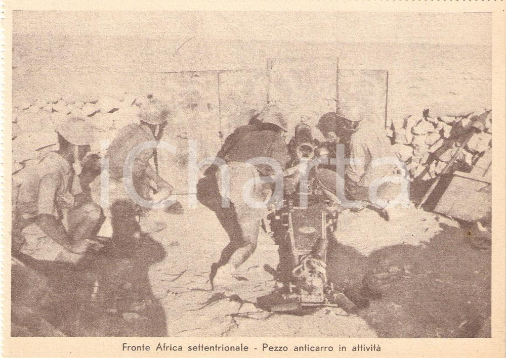 Cartolina originale da collezione 1940 ca WW2 Fronte Africa settentrionale Pezzo anticarro in attivitÃ  Cartolina 1