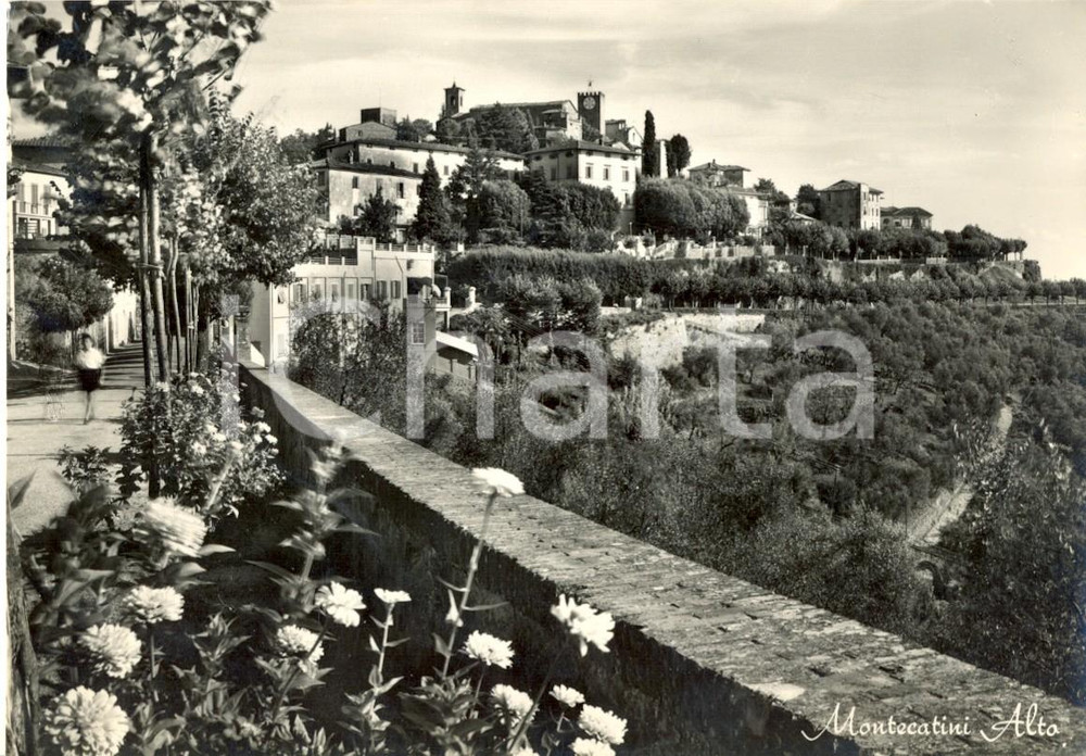 Cartolina originale da collezione 1954 MONTECATINI TERME PT Panorama del paese con la torre dell orologio FG VG 1