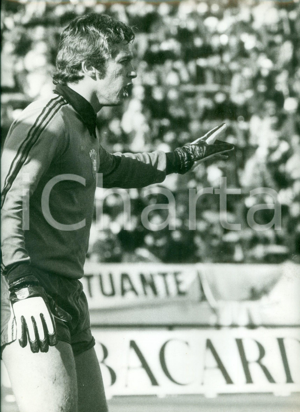 Fotografia d epoca originale 1978 BRASILE Calcio MONDIALI Portiere Emerson LEAO in allenamento Fotografia 1