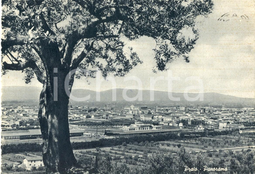 Cartolina originale da collezione 1956 PRATO Veduta panoramica della cittÃ  Cartolina postale FG VG 1
