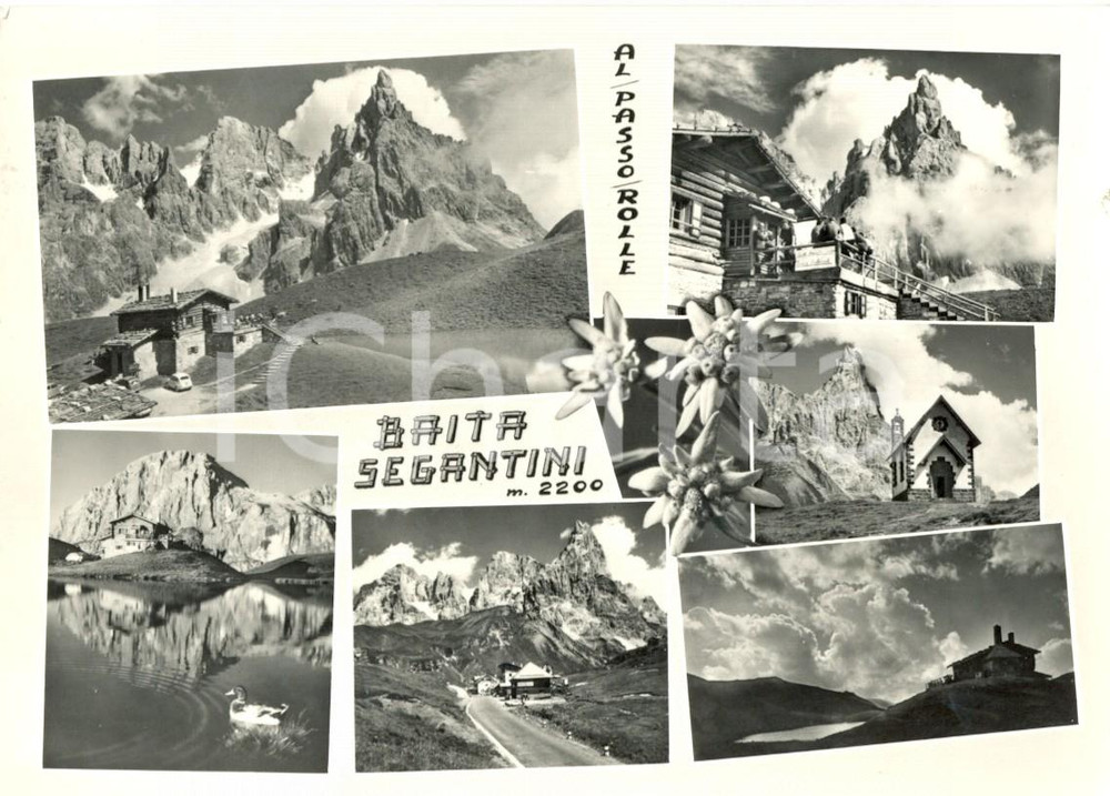 Cartolina originale da collezione 1960 PASSO ROLLE TN Vedutine della BAITA SEGANTINI Cartolina postale FG VG 1
