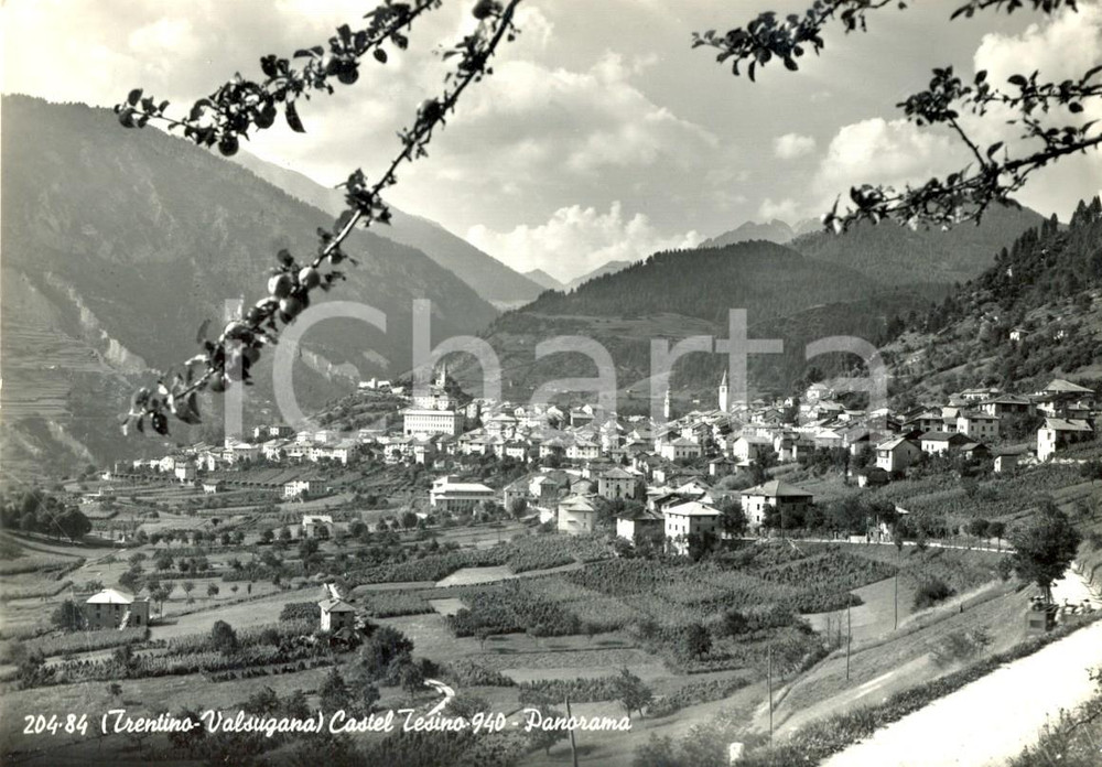 Cartolina originale da collezione 1958 CASTEL TESINO TN Panorama del paese e della valle Cartolina FG VG 1