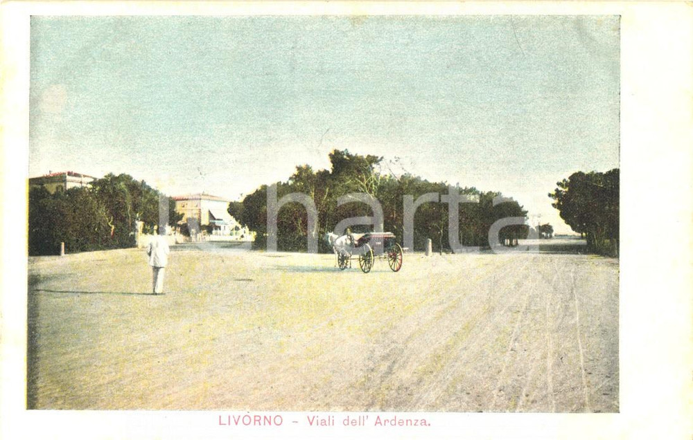 Cartolina originale da collezione 1900 ca LIVORNO Calesse sul viale dell ARDENZA Cartolina ILLUSTRATA FP NV 1
