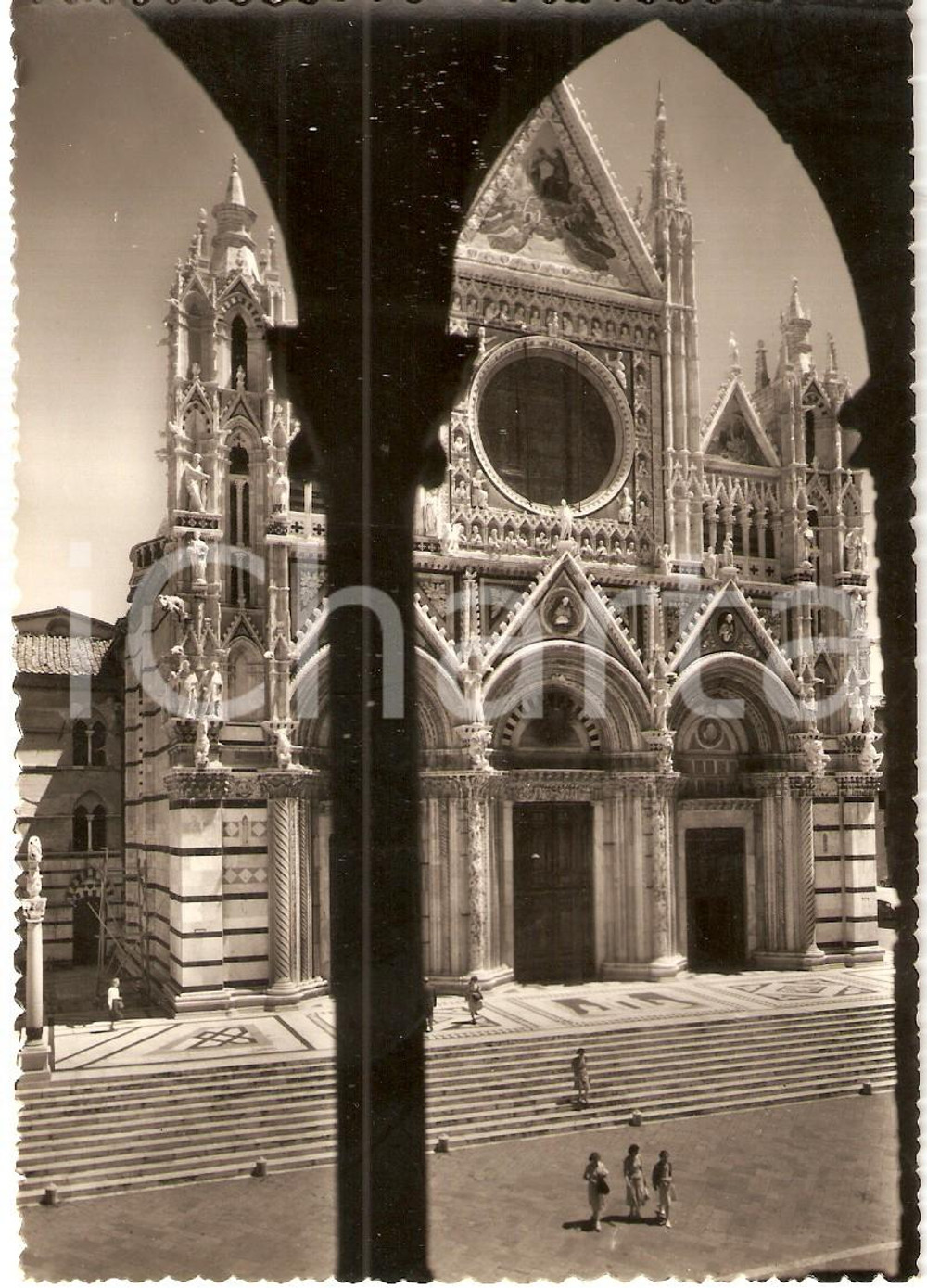 1950 ca SIENA Cattedrale SANTA MARIA ASSUNTA dall'ospedale *Cartolina FG NV