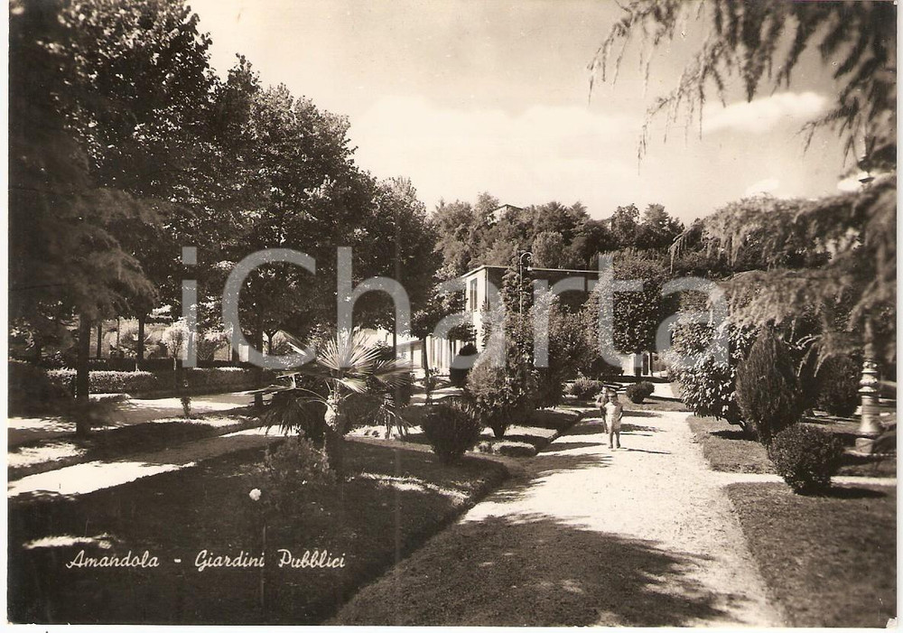 Cartolina originale da collezione 1952 AMANDOLA FM Bambini ai giardini pubblici Cartolina postale ANIMATA FG VG 1