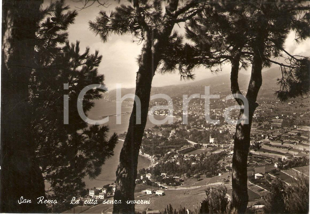 Cartolina originale da collezione 1950 ca SANREMO IM Scorcio panoramico attraverso gli alberi Cartolina FG NV 1