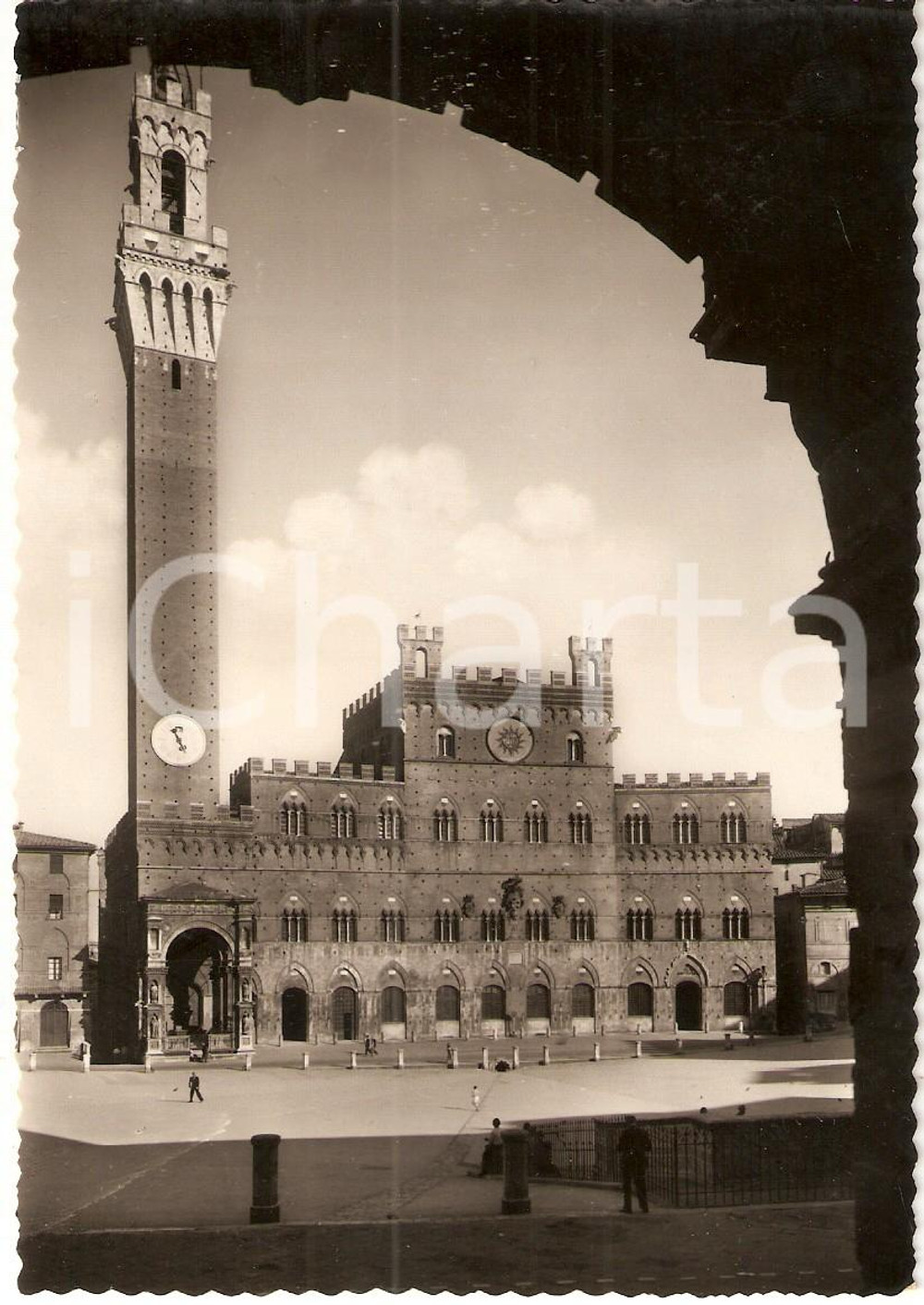 Cartolina originale da collezione 1950 ca SIENA Piazza del CAMPO e il Palazzo COMUNALE Cartolina postale FG NV 1