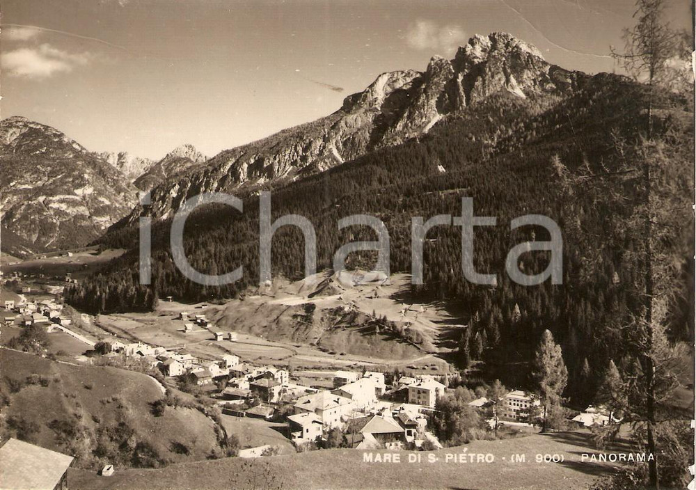 Cartolina originale da collezione 1950 ca SAN PIETRO DI CADORE BL Panorama con frazione MARE Cartolina FG NV 1