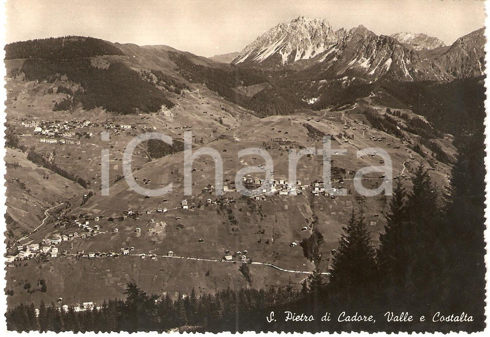Cartolina originale da collezione 1950 ca SAN PIETRO DI CADORE BL Vallata e frazione COSTALTA Cartolina FG NV 1