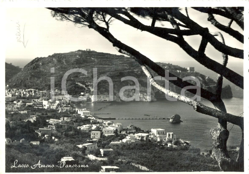 Cartolina originale da collezione 1953 LACCO AMENO NA ISOLA D ISCHIA panorama del paese e del golfo FG VG 1