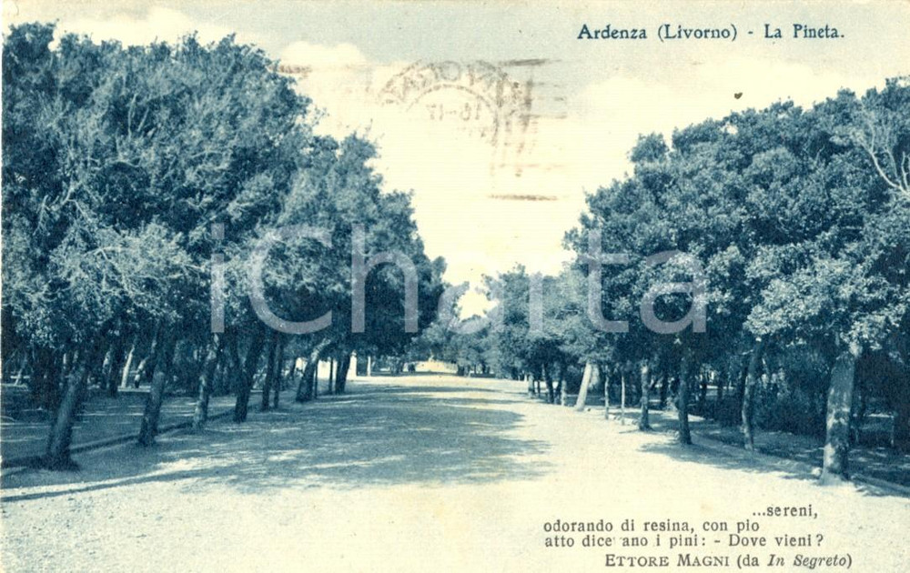 Cartolina originale da collezione 1937 LIVORNO La pineta del quartiere ARDENZA Cartolina FP VG 1