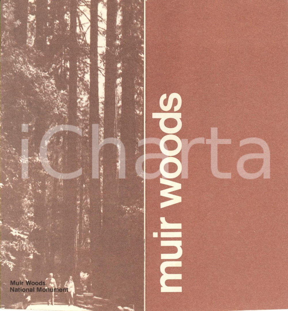 Materiale pubblicitario d’epoca 1985 SAN FRANCISCO USA MUIR WOODS National Monument Opuscolo con mappa 1