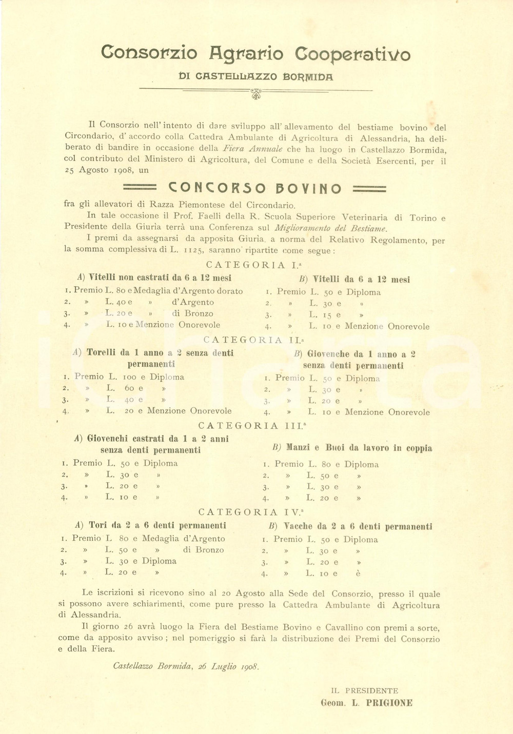 Documento originale, autentico 1908 CASTELLAZZO BORMIDA AL Concorso bovino Concorso Agrario Cooperativo 1
