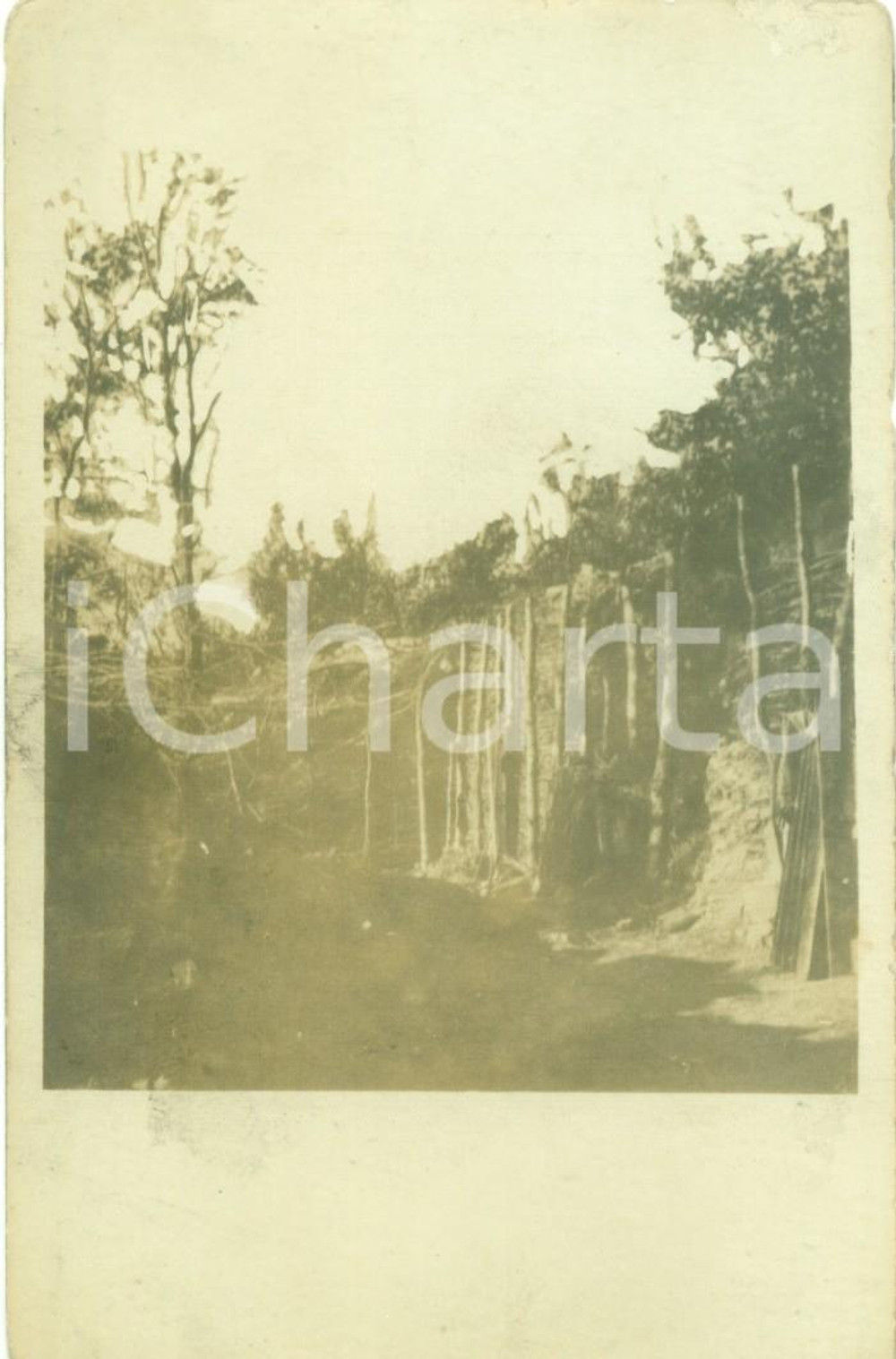 Fotografia d epoca originale 1917 FRONTE DEL PIAVE WW1 Palizzate e trincee linee di difesa Fotocartolina 1