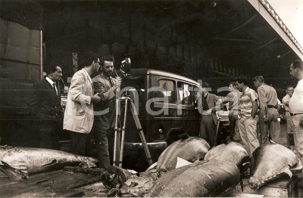Fotografia d epoca originale 1961 MANHATTAN Adolfas MEKAS Edouard DE LAORUT Sheldon ROCHLIN Set GUNS OF TREES 1