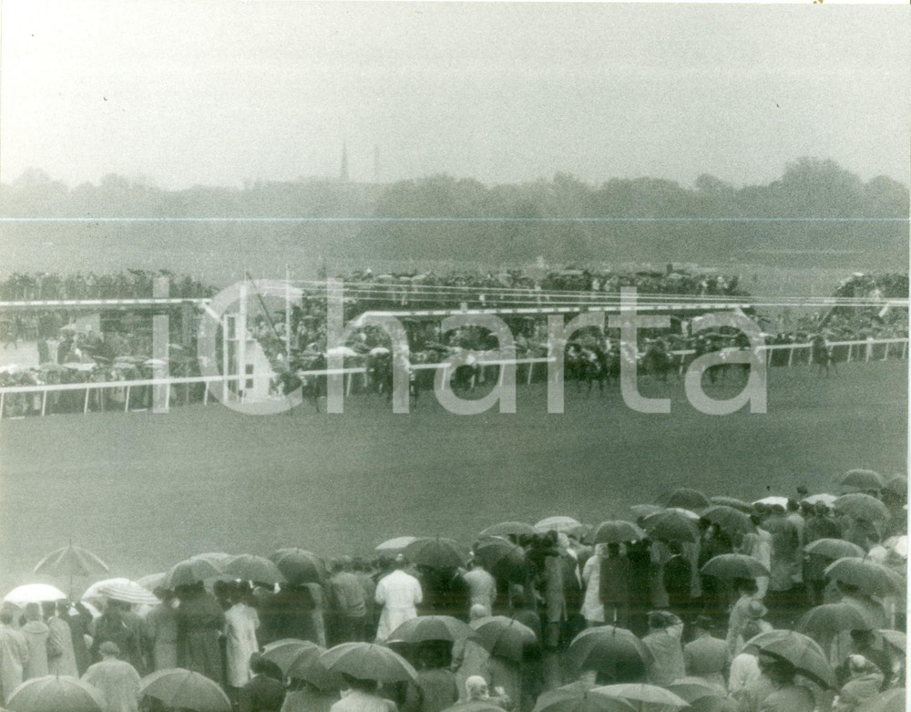 Fotografia d epoca originale 1955 ca PARIS FRANCE Folla assiste a gara di galoppo all ippodromo Fotografia 1