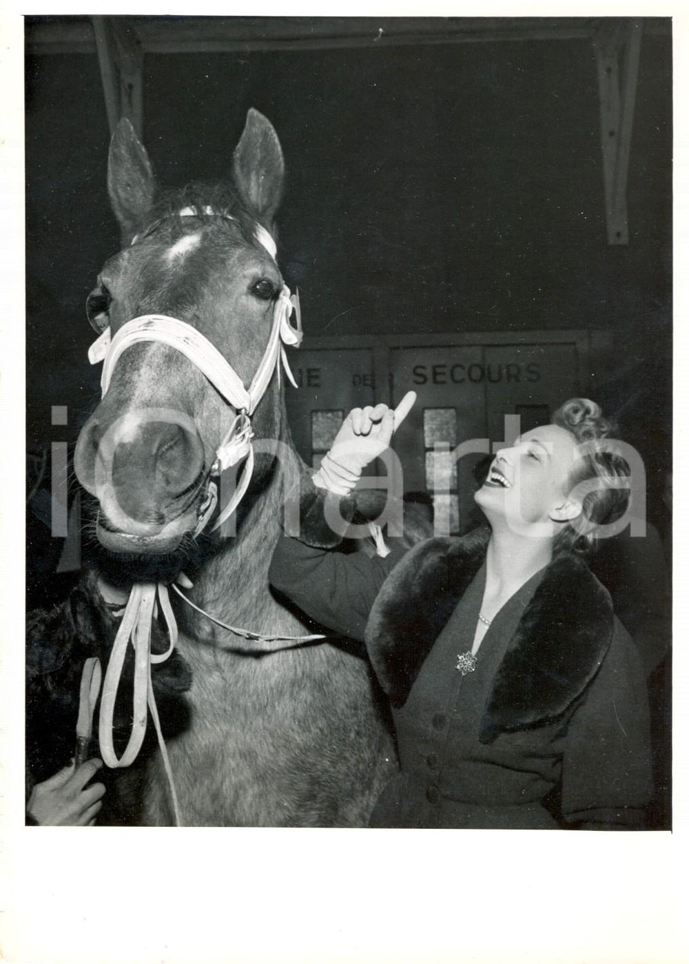 Fotografia d epoca originale 1954 PARIS L attrice Arlette POIRIER con il cavallo COQUINE Fotografia 2 1