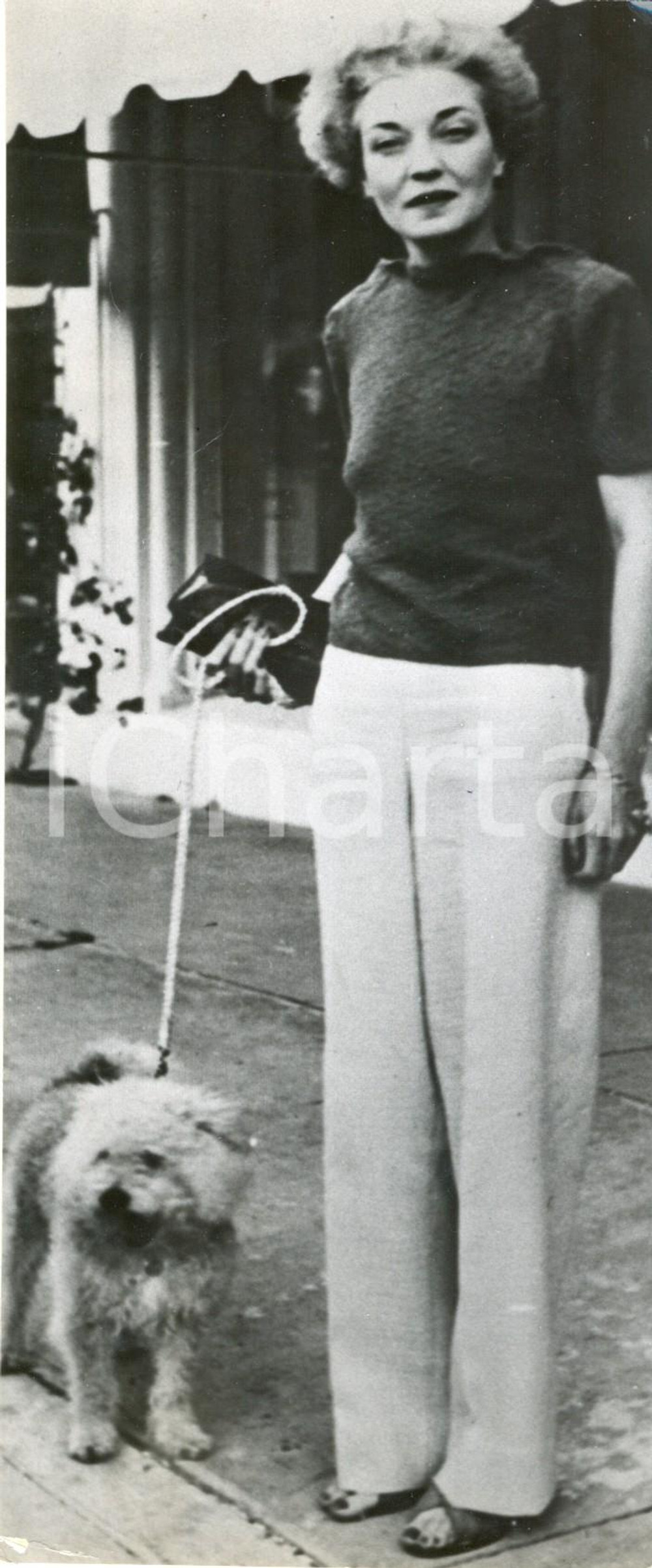 Fotografia d epoca originale 1960 ca FLORIDA PALM BEACH Mona Von BISMARCK porta a passeggio il cane Foto 1