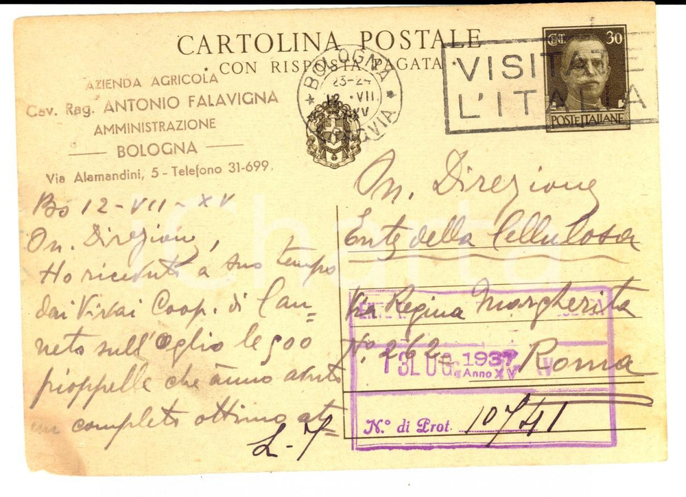 Cartolina originale da collezione 1932 BOLOGNA Azienda agricola Antonio FALAVIGNA su pioppelle Cartolina 1