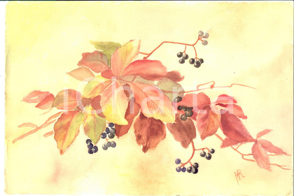 Stampa, bozzetto originale 1940 ca ARTE Ramo autunnale con bacche Acquerello FIRMATO 31x21 cm 1