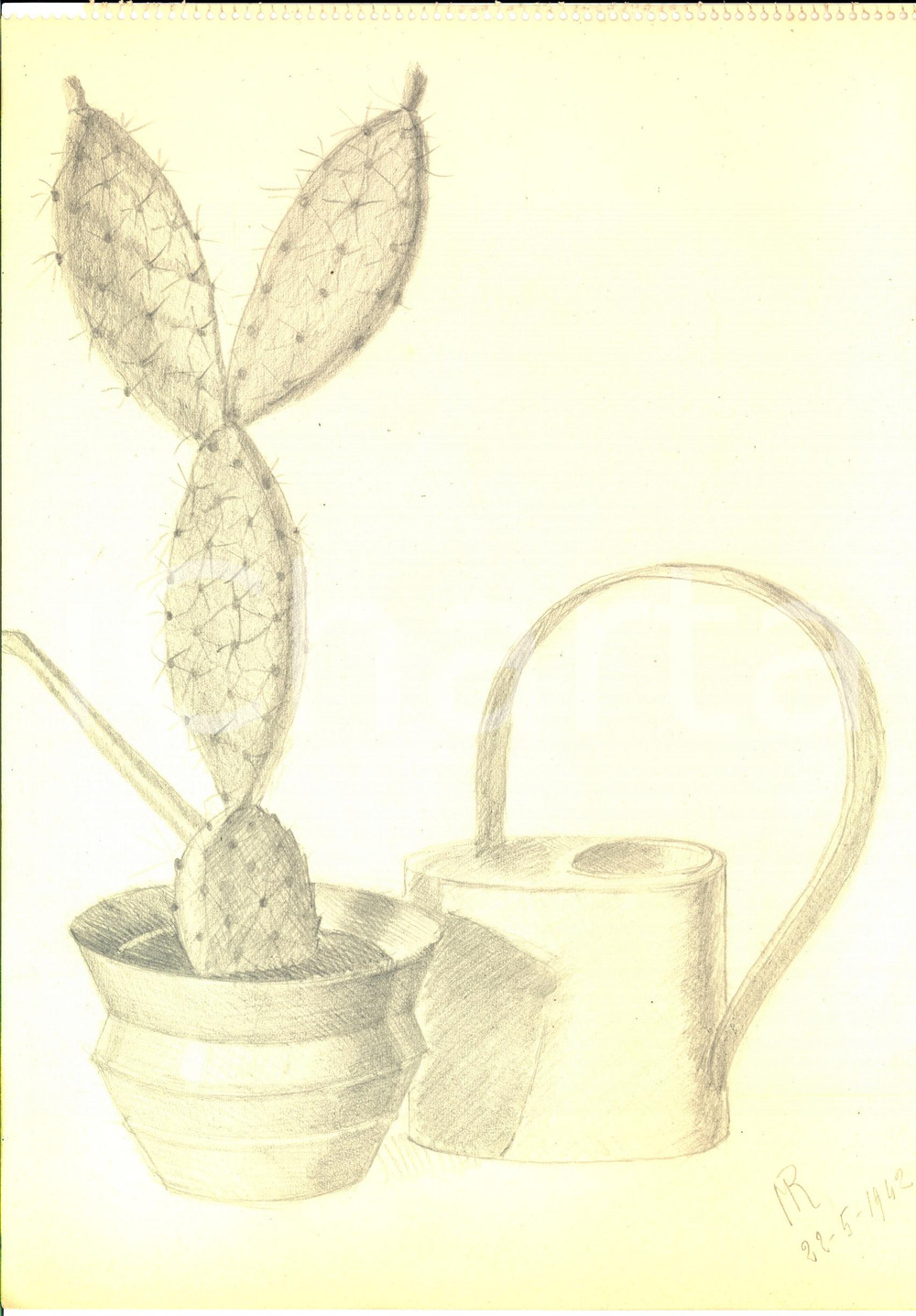 Stampa, bozzetto originale 1942 ARTE Scena con cactus e innaffiatoio Disegno a matita FIRMATO 23x31 1