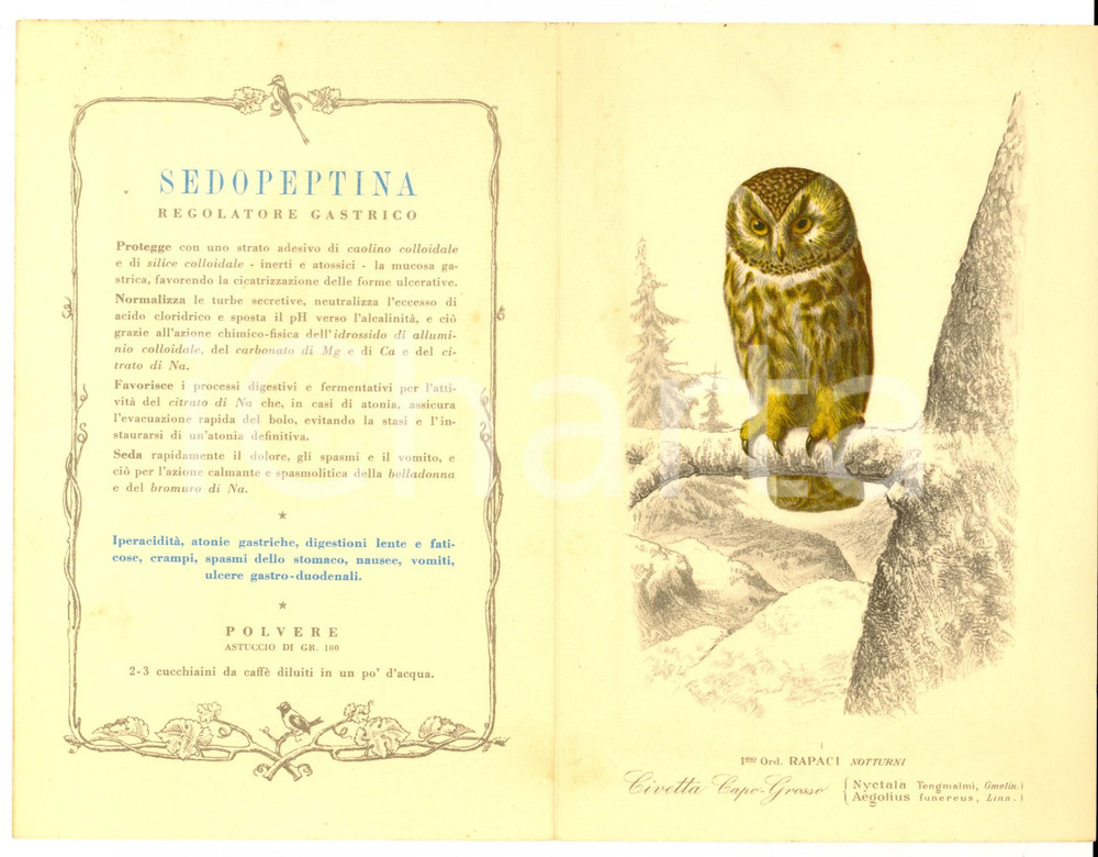 Materiale pubblicitario d’epoca 1952 MILANO Laboratori MAESTRETTI Sedopeptina Inocarbol Pancrinol PUBBLICITA 1