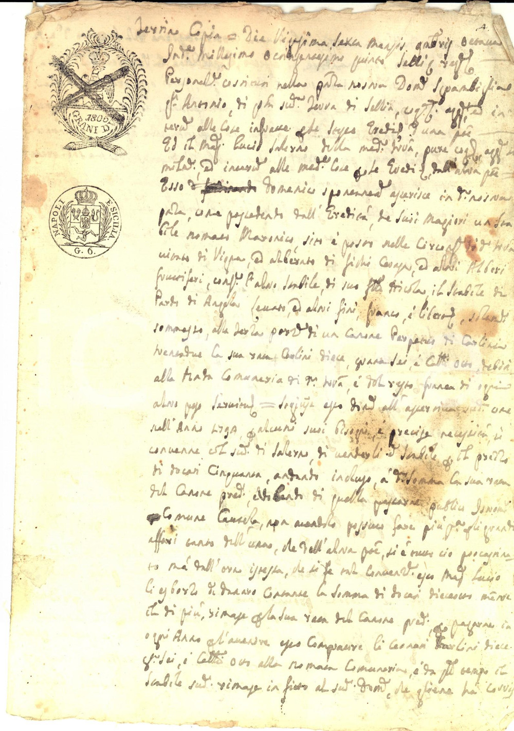 Documento originale, autentico 1805 SELLIA Domenico SGRAMBIGLIA vende a Lucio SALERNO vigna e podere con fichi 1
