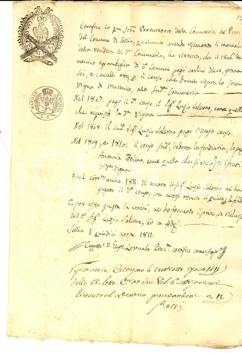 Documento originale, autentico 1811 SELLIA CZ Certificato censi di Lucio SALERNO su vigna MARONICO 1