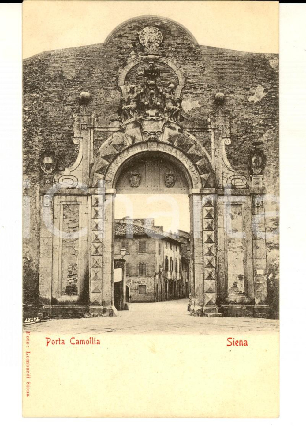 Cartolina originale da collezione 1900 ca SIENA Veduta con PORTA CAMOLLIA Cartolina postale FP NV 1