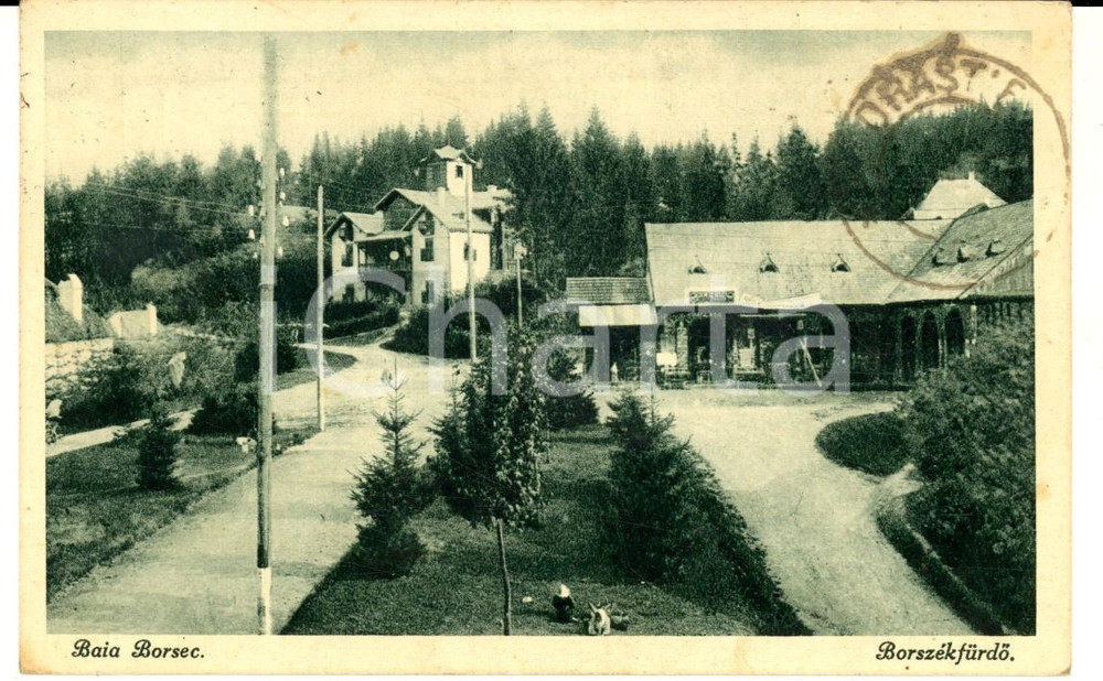Cartolina originale da collezione 1926 BORSEC ROMANIA Veduta panoramica Cartolina postale FP VG 1