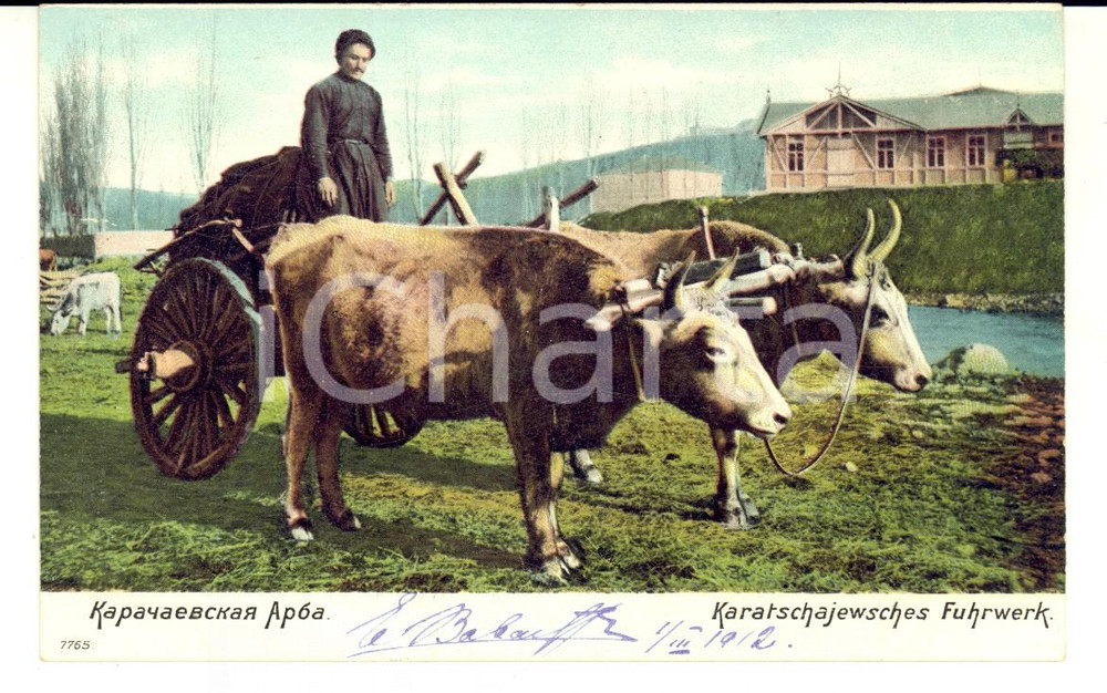 Cartolina originale da collezione 1912 COSTUMI CAUCASO Donna al lavoro con i buoi nel campo Cartolina postale FP 1