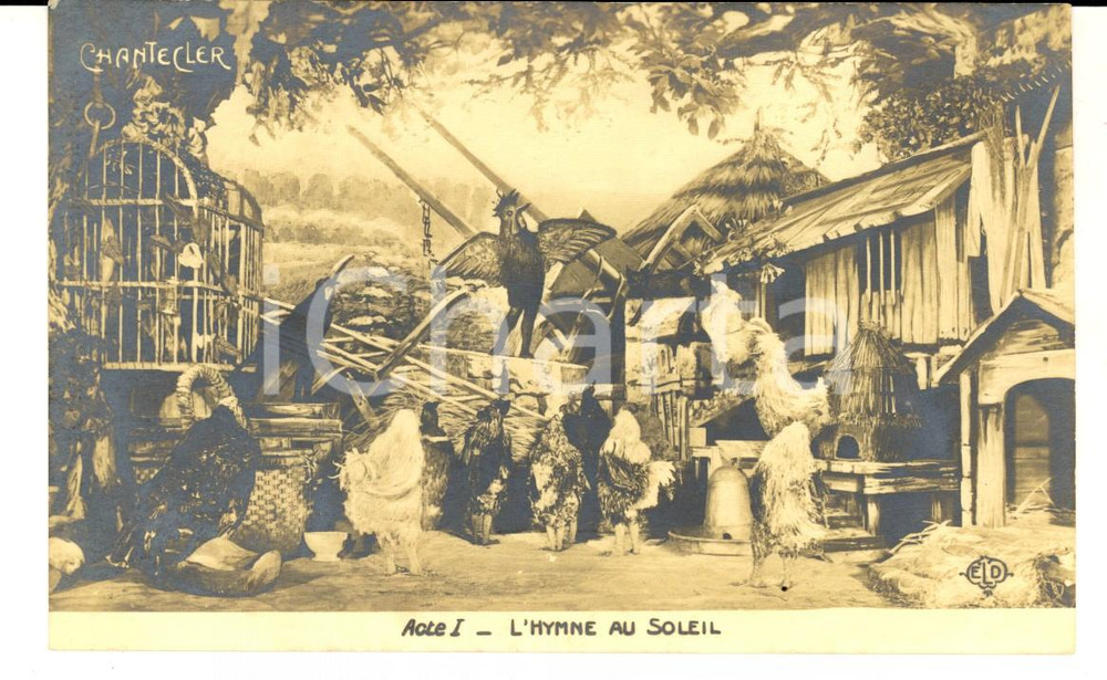 Cartolina originale da collezione 1910 ca CHANTECLER Hymne au soleil  Acte I  Edmond ROSTAND Carte postale 1
