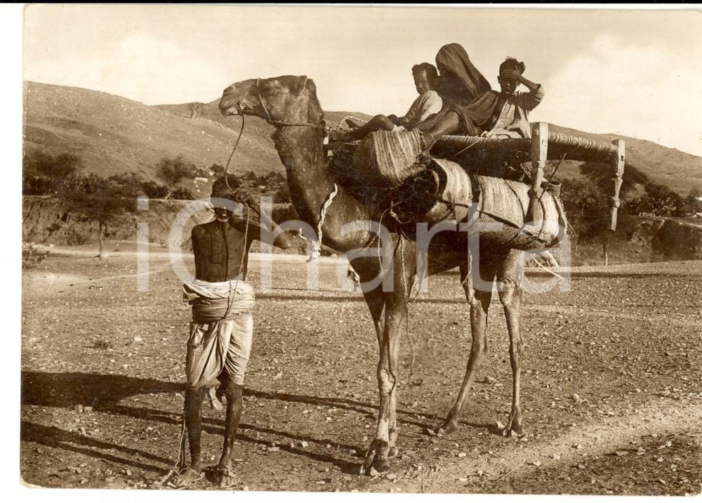Cartolina originale da collezione 1940 ca ASMARA ERITREA Trasloco a dorso di cammello Cartolina FG NV 1