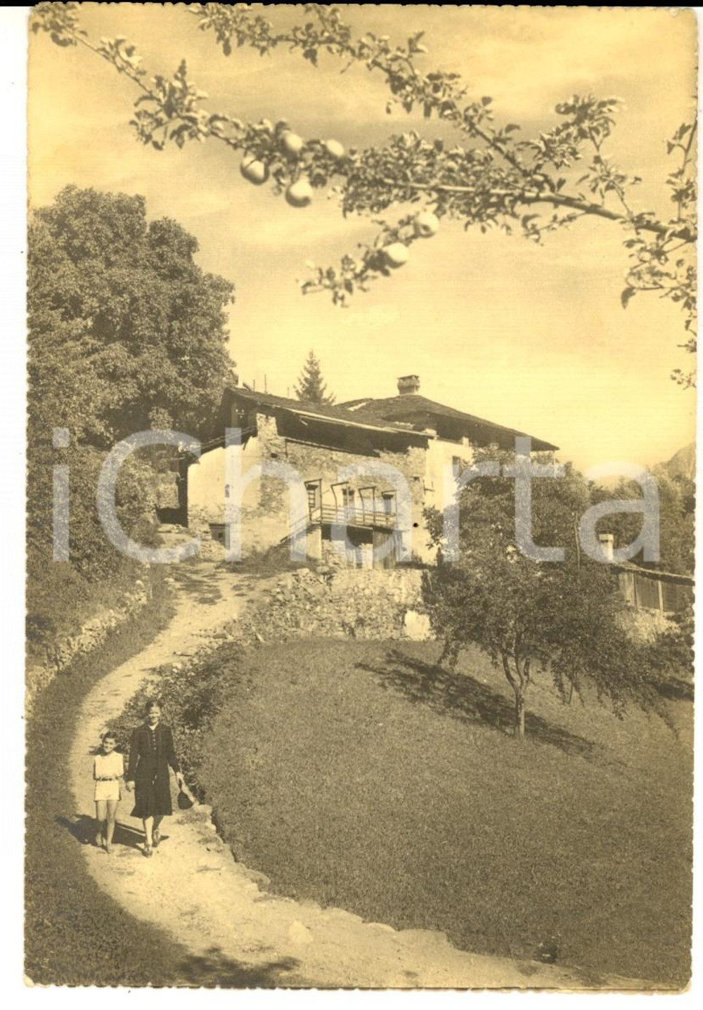 Cartolina originale da collezione 1952 VALENZA AL Cascina in campagna Cartolina postale ANIMATA FG VG 1