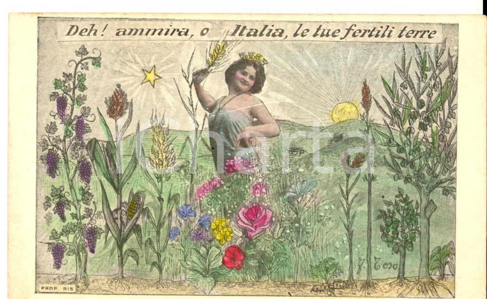 Cartolina originale da collezione 1910 ca Deh! Ammira, o Italia, le tue fertili terre Cartolina ILLUSTRATA TOSO 1