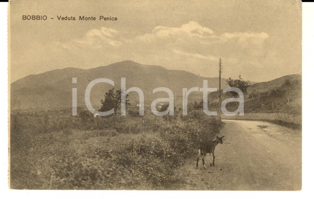 Cartolina originale da collezione 1915 ca BOBBIO PC Veduta con il monte PENICE Cartolina postale FP NV 1