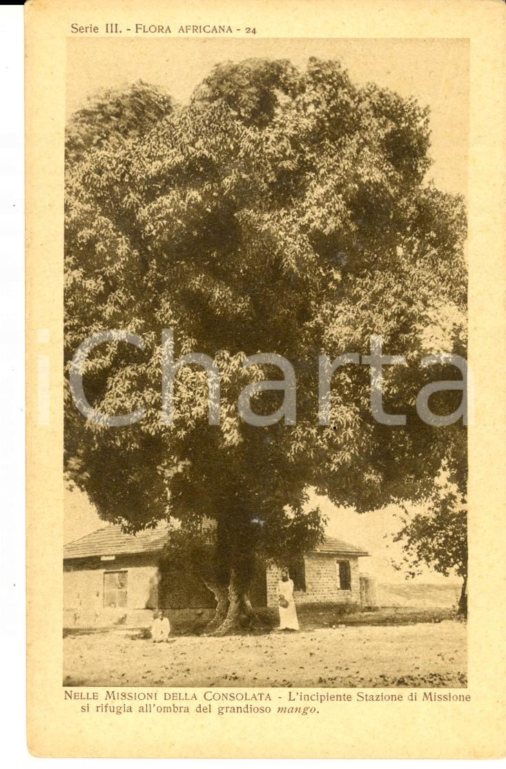 Cartolina originale da collezione 1930 ca MISSIONI DELLA CONSOLATA AFRICA All ombra del grandioso mango Cartolina 1