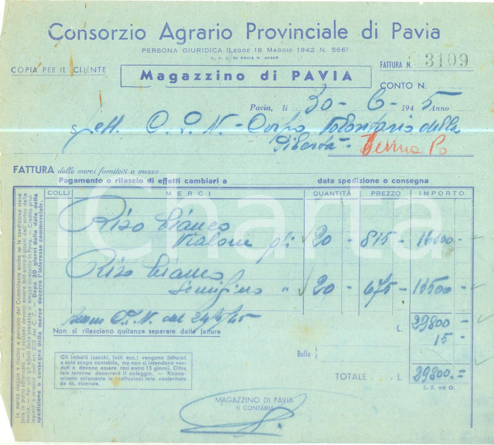 Documento originale, autentico 1945 PAVIA Consorzio Agrario Provinciale Fattura per acquisto di riso 1