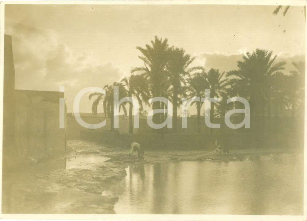 Fotografia d epoca originale 1936 ETIOPIA AOI Indigeni in riva al fiume con palmizi Fotografia artistica 1