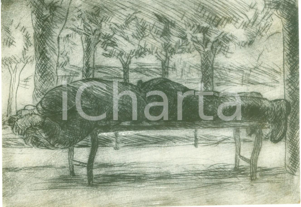 Fotografia d epoca originale 1933 MANTOVA II SMOSTRA SINDACALE Dino VILLANI Riposo Fotografia coeva quadro 1