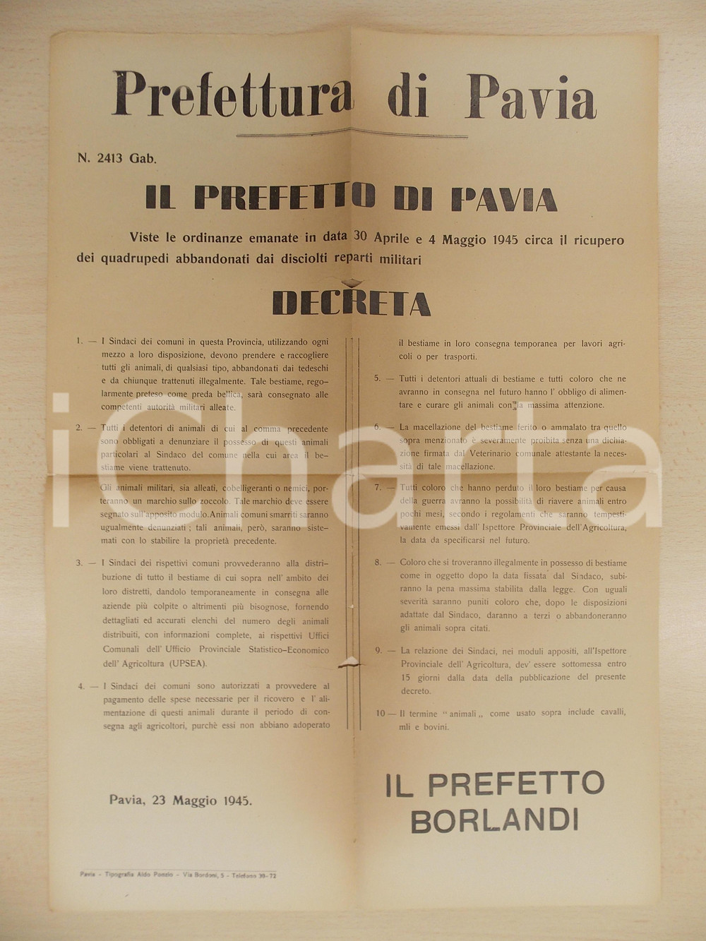 Documento originale, autentico 1945 GOVERNO MILITARE ALLEATO Recupero quadrupedi abbandonati dai reparti 2 1