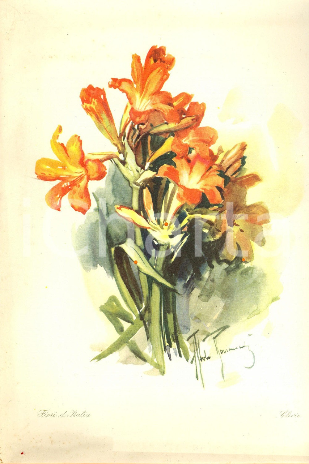 Oggetto da collezione cartaceo 1955 T/N CRISTOFORO COLOMBO MenÃ¹ Pranzo di commiato Illustratore Aldo RAIMONDI 1