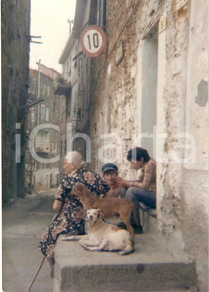 Fotografia d epoca originale 1980 ROBBIATE LC Anziana con cani sorveglia una vecchia via del paese FOTO 1
