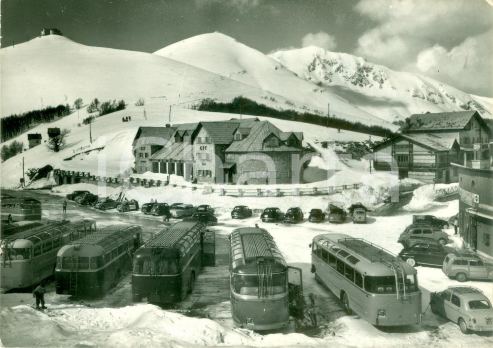 Cartolina originale da collezione 1957 MONTE TERMINILLO Torpedoni in Piazzale CAMPOFOROGNA Cartolina FG VG 1