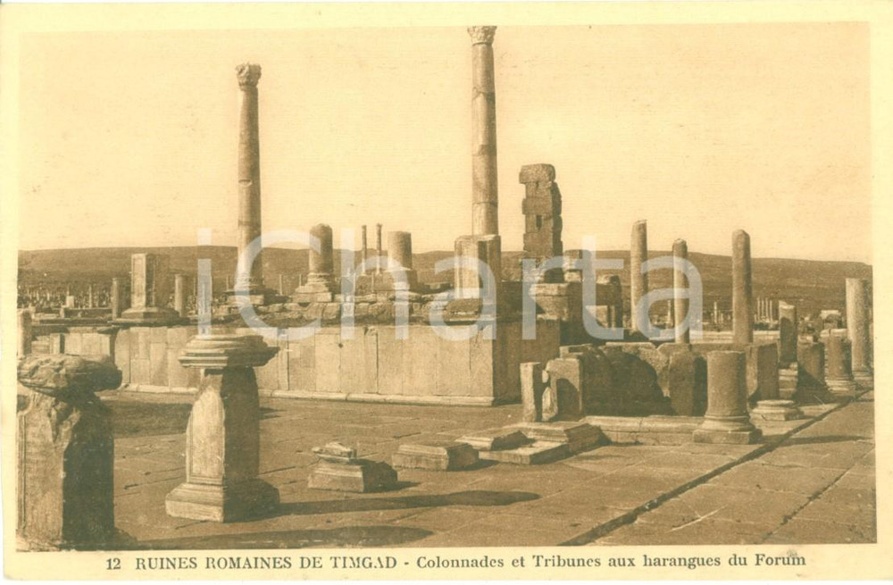Cartolina originale da collezione 1930 ca TIMGAD ALGERIA Le rovine romane e il FORO Cartolina FP NV 1