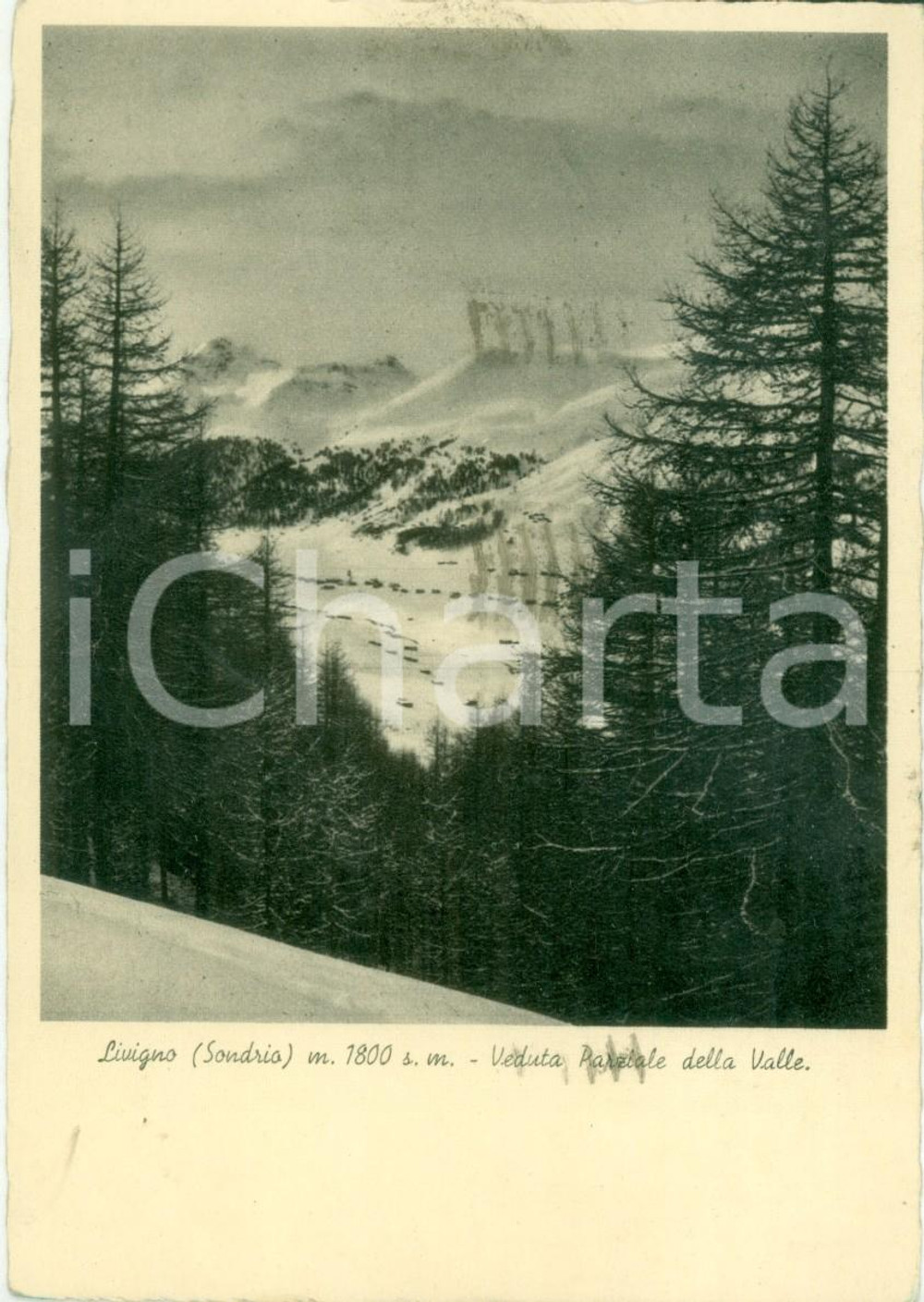 Cartolina originale da collezione 1940 LIVIGNO SO Veduta parziale della valle Cartolina FG VG 1